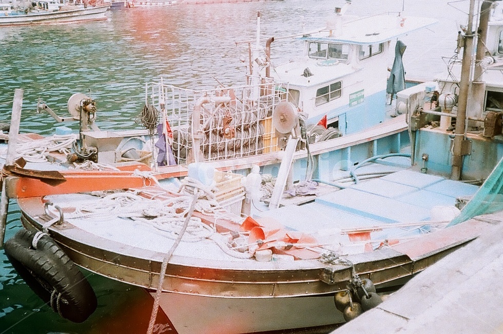 자연,풍경,바다,항구,배,필름,필름카메라,아날로그,landscape,nature,sea,boat,port,analogue,film,filmcamera,감성,sensible,feeling,산업,industry,industrial,어업,fishery,fishing industry,교통,교통수단,traffic,transportation