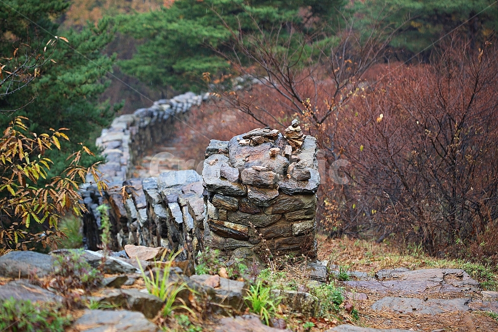 전등사,성,성곽,단풍,낙엽,산성,길,둘레길,숲,숲길,담,돌담,가을,자연,풍경,벽,방어벽,돌,나무,식물,가을,계절,fall,autumn,season,자연,풍경,nature,landscape