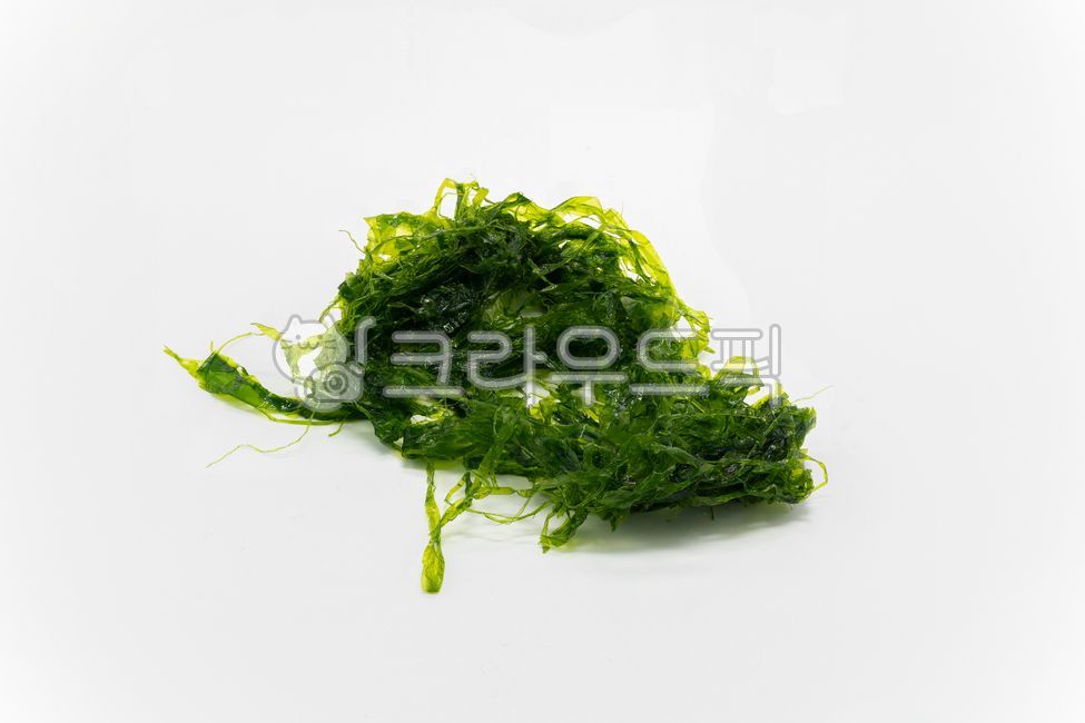 감태,해조,바다,eckloniacava,가시파래,음식,식자재