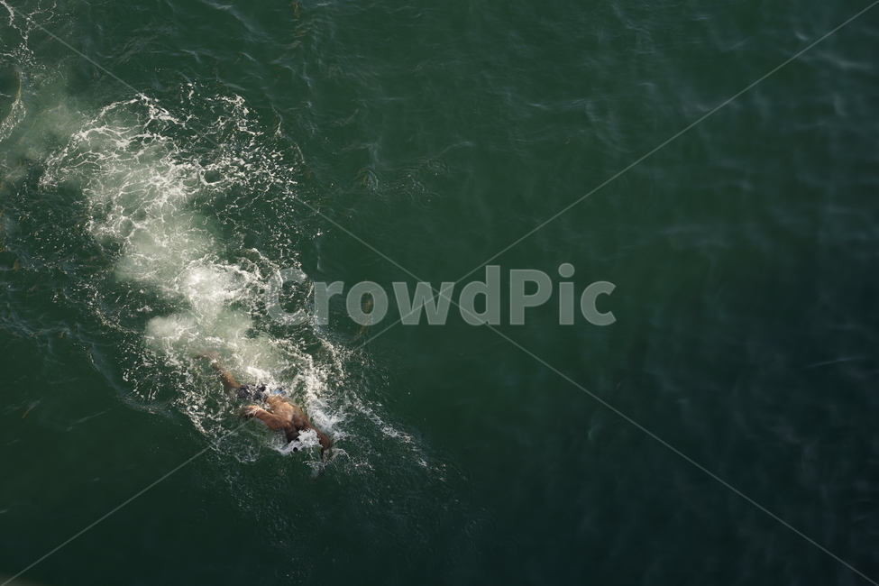 수영,바다수영,swimming,ocean,sea,바다,물,water,자연,nature