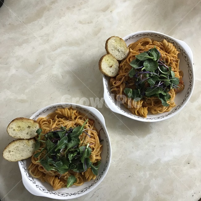 요리,토마토,파스타,취미,힐링,음식,식재료,요리,food,cook,meal,dishes,food reserves