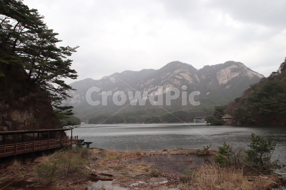 호수,자연,풍경,산정호수,풍경사진,자연,풍경,nature,landscape,한국자연풍경,한국자연경관,korea nature landscape,plant,식물,tree,나무,abies,아비,fir,전나무