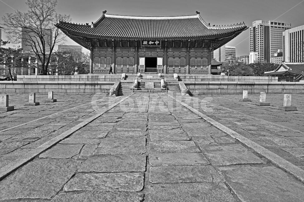 중화전,덕수궁,궁궐,대한제국,고종,보물제819,정전,월대,흑백,품계석,박석