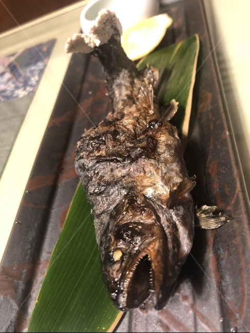 물고기,일본음식,생선구이,짭잘한생선,신선한생선