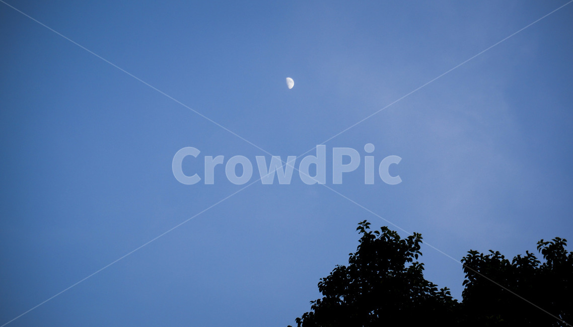 달,상현달,초저녁,반달,달빛,하늘,sky,moon,night,moonlight,야경,밤,풍경,nightscape,night,landscape,nature,자연,outdoors,옥외