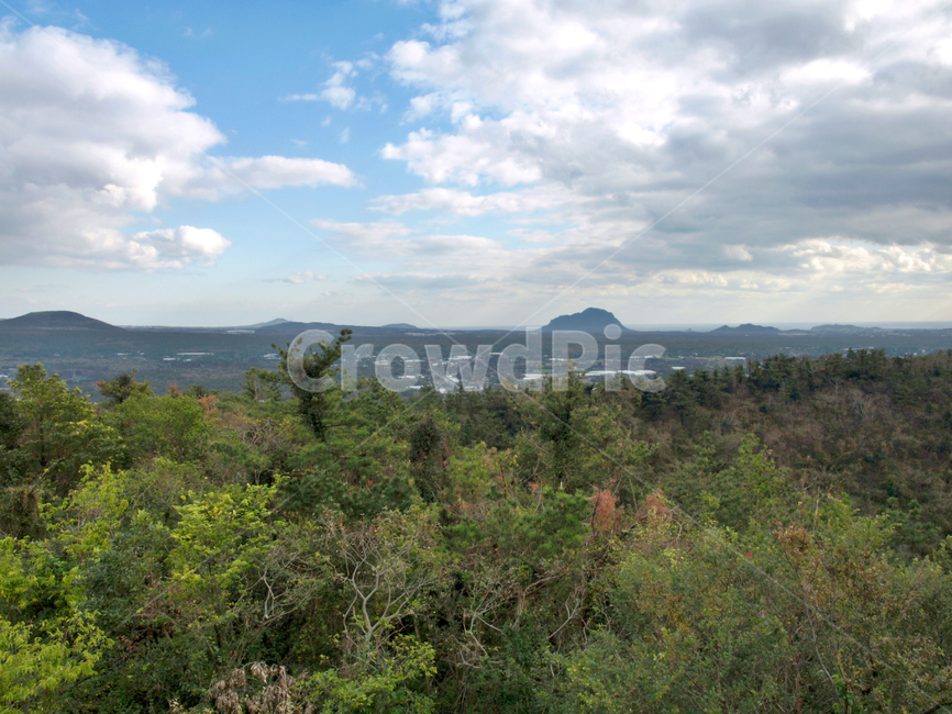 저지오름,올레13코스,올레길,제주,흰구름,푸른하늘,마을,전경,자연,풍경,nature,landscape,outdoors,옥외,vegetation,초목,plant,식물,tree,나무,weather,날씨,wilderness,황야