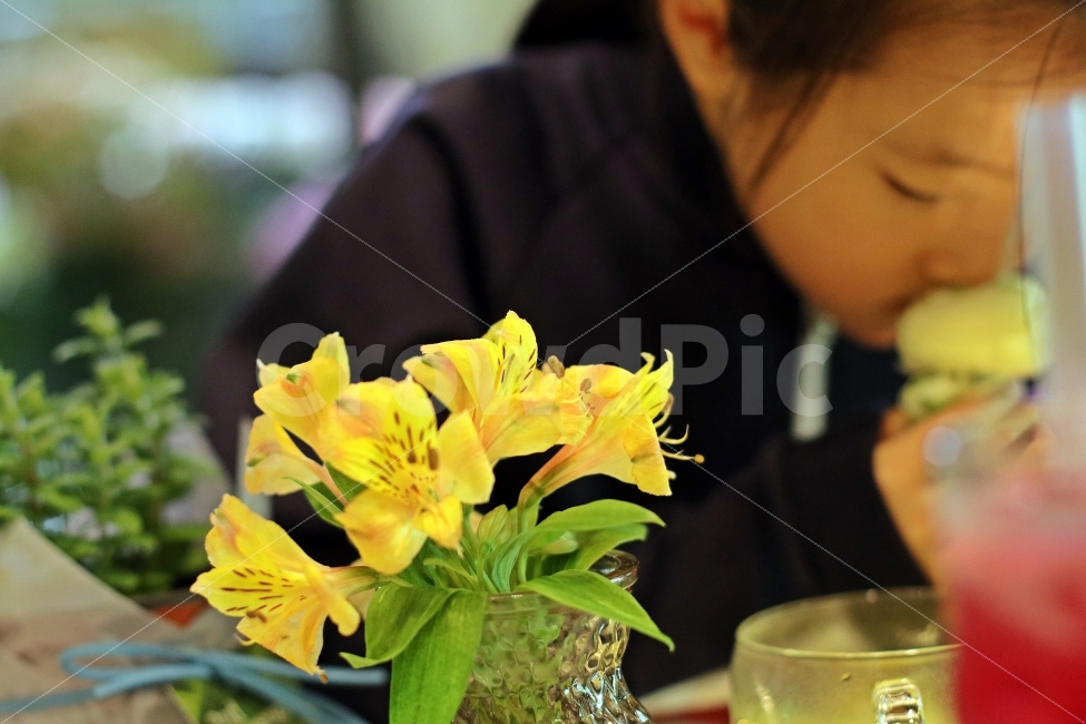 꽃향기,꽃,맡다,어린이,아이,봄,향기,식물,자연,plants,nature,꽃,flower,사람,인물,인간,human,person