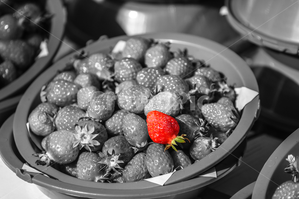 과일,딸기,흑백사진,빨간색,음식,음식,식재료,요리,food,cook,meal,dishes,food reserves,과일,열매,fruit,채소,야채,vegetables,흑백,모노톤,monochrome,black and white
