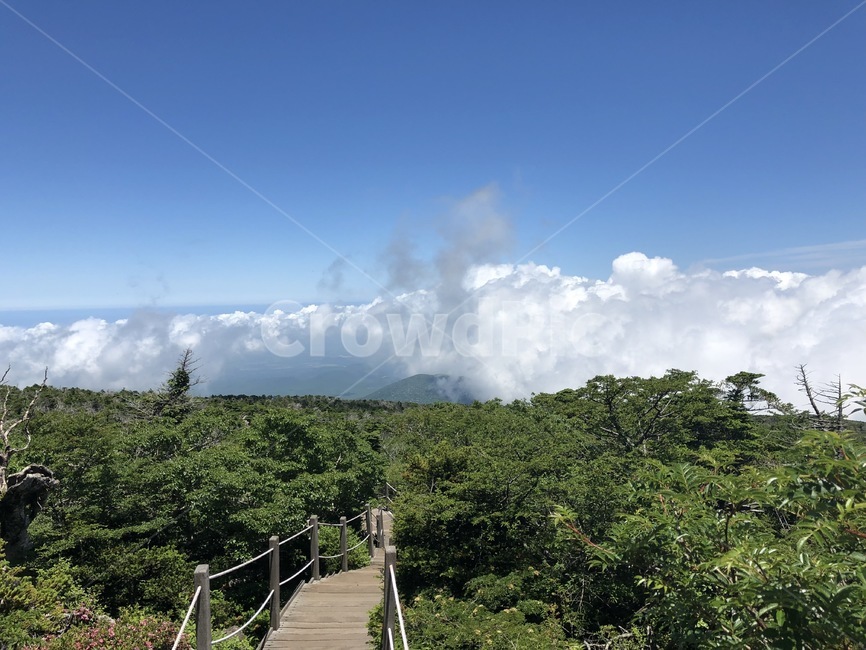 구름,산길,산,하늘,맑은날씨,등산