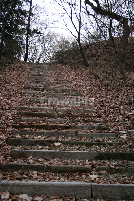 창덕궁,세계문화유산,문화유산,한국,계단,낙엽,가을,계절,fall,autumn,season,자연,풍경,nature,landscape,road,도로,dirt road,흙길,gravel,자갈,ground,바닥,walkway,보도,path,통로,transportation,교통,railway,철도,train track,기찻길,rail,레일