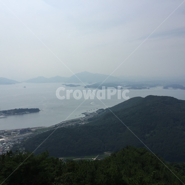 섬,바다,자연경관,풍경,경치,소나무