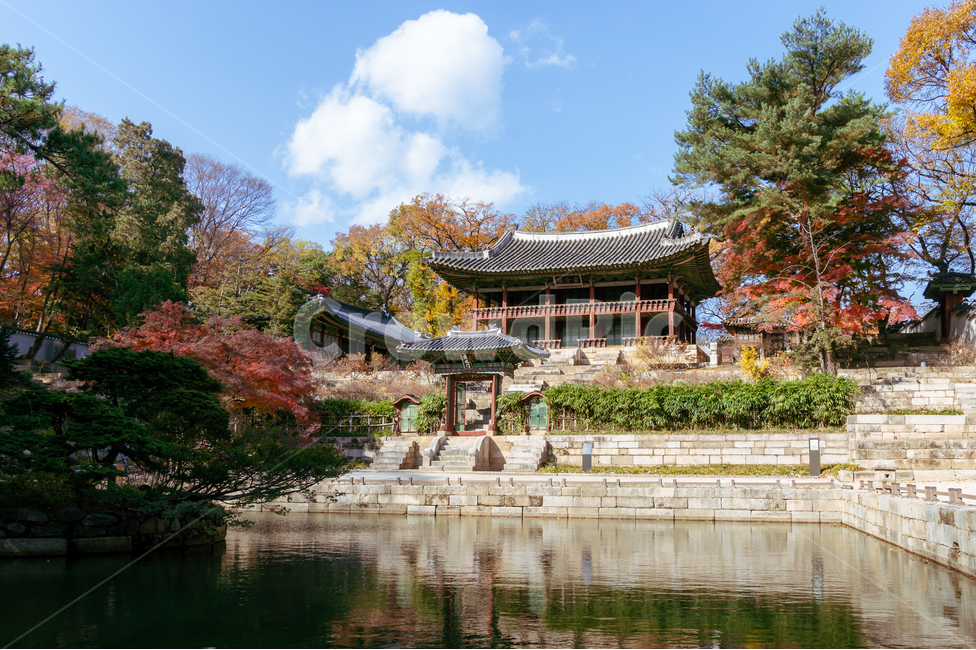 정원,한옥,궁,전통,문화재,단풍,하늘,연못,가을,계절,fall,autumn,season,한국전통,한국문화,korean traditional,korean culture,건축물,건물외관,exterior,building,structure,architecture,construction,worship,예배,pagoda,탑,temple,신전,shrine,신사,건물