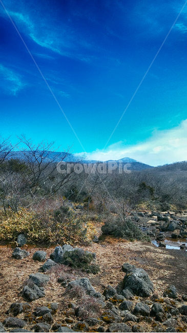 한라산1100고지,람사르습지,outdoors,옥외,nature,자연,파란하늘,흰구름