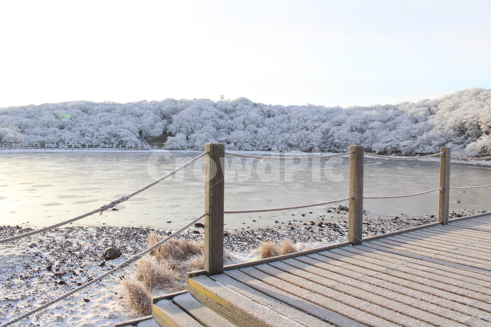 눈꽃,다리,제주,한라산,눈,나무,겨울,계절,snow,호수,하늘,얼음,겨울,계절,winter,season