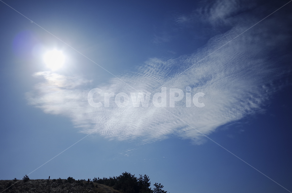 nature,자연,light,빛,flare,플레어,sunlight,햇빛,cloud,구름,재미
