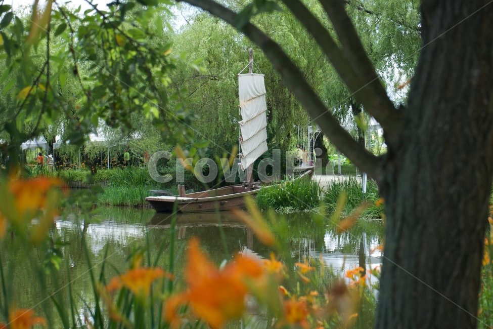 배,미지,여행,나루,비밀,자연,풍경,nature,landscape,한국자연풍경,한국자연경관,korea nature landscape,교통,교통수단,traffic,transportation,water,물,outdoors,옥외,tree,나무,plant,식물