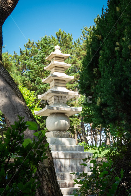 익산,원불교,성지,성탑,자연,조각상,동상,석상,조형물,statue,bronze statue,stone statue