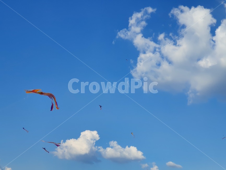 하늘,구름,연,가을하늘,연날리기,자연,풍경,nature,landscape,leisure activities,레저 활동,adventure,모험,gliding,활공