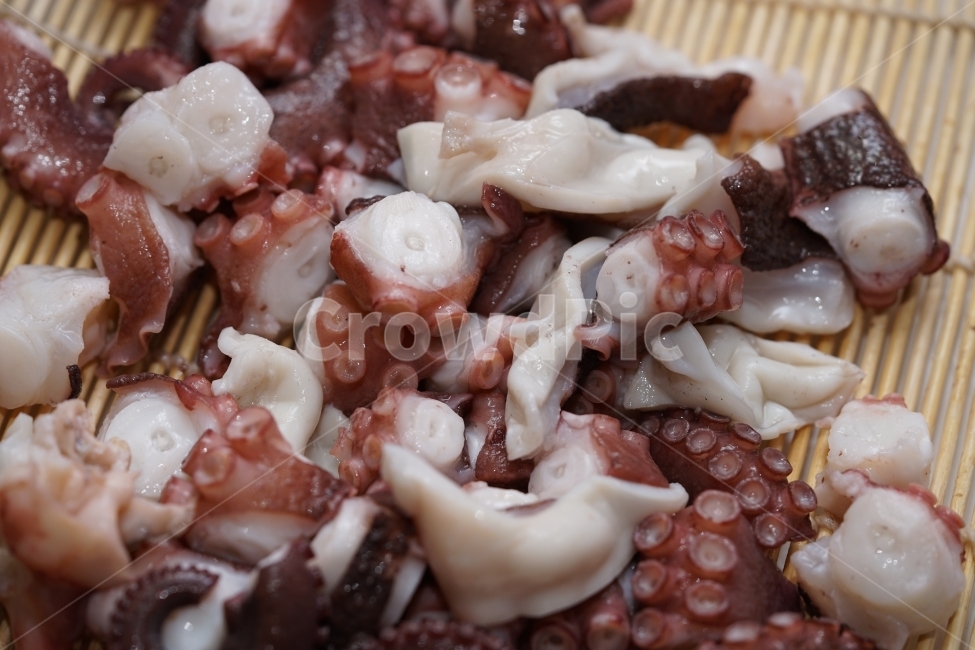 안주,먹방,문어,해산물,문어숙회,술안주,회,먹거리,음식,푸드,씨푸드,시푸드,술자리,식감,소주안주,안주거리,안줏거리,빨판,음식,식재료,요리,food,cook,meal,dishes,food reserves,수산물,해산물,fishery products,seafood