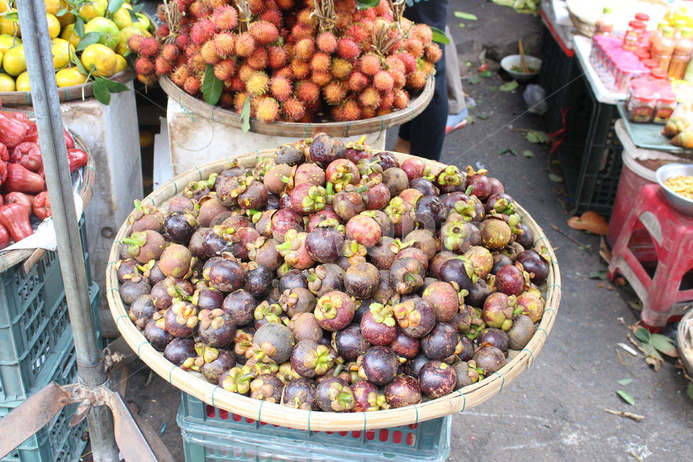 망고스틴,과일,시장,재료,식재료,음식,시장,마트,마켓,market,mart,market place,음식,식재료,요리,food,cook,meal,dishes,food reserves,과일,열매,fruit