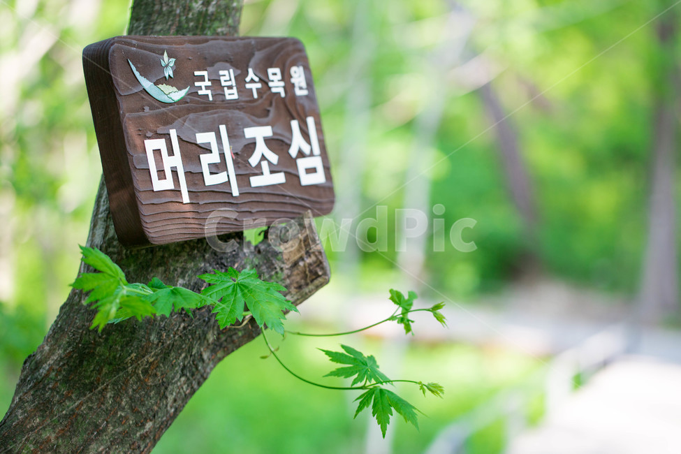 머리조심,푯말,주의,둘레길,수목원