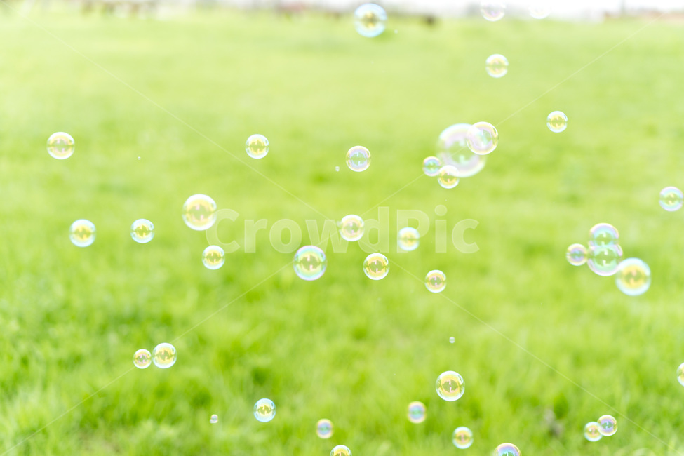 play,rest,green,nature,joke,summer,soap bubbles,spring,freedom,bubble,happiness,fun,lawn,park,spare