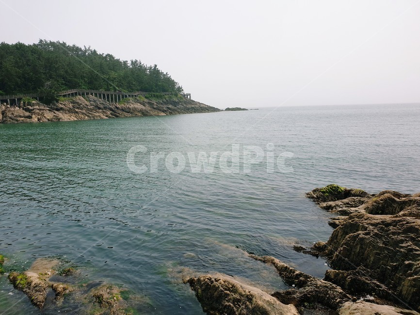 자연,서해,바위,바다,풍경