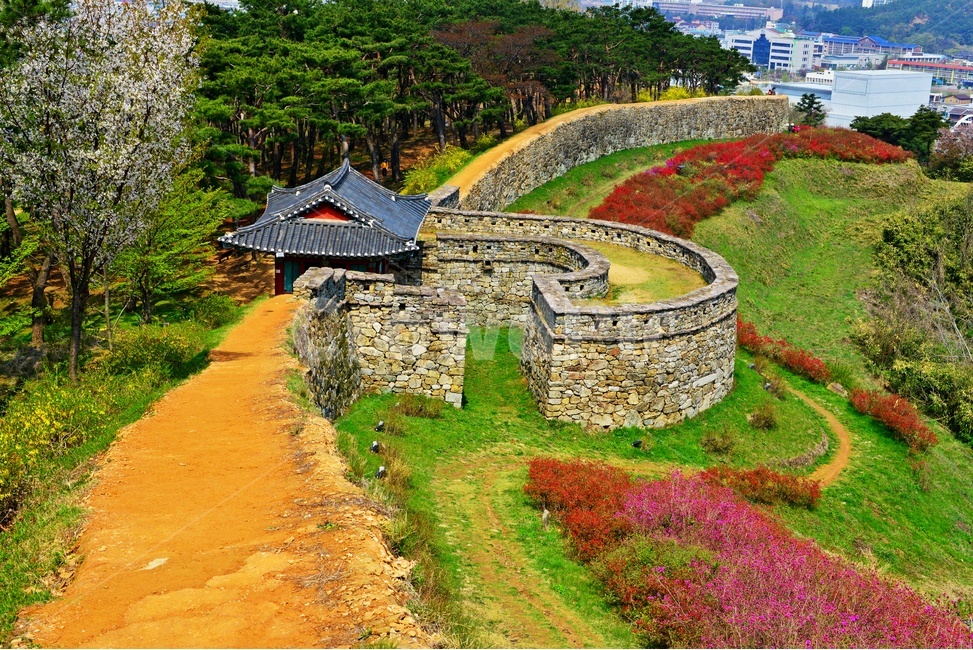 고창,고창읍성,모양성,봄,벚꽃,철쭉,철쭉꽃,계절,scenery,풍경,landscape,경치,nature,자연,outdoors,옥외,plant,식물,flower,blossom,꽃,human,인간,person,사람