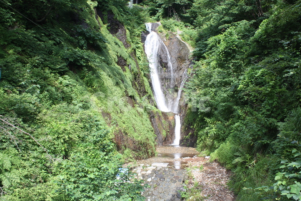 water,물,nature,자연,폭포,봉래폭포,자연,풍경,nature,landscape