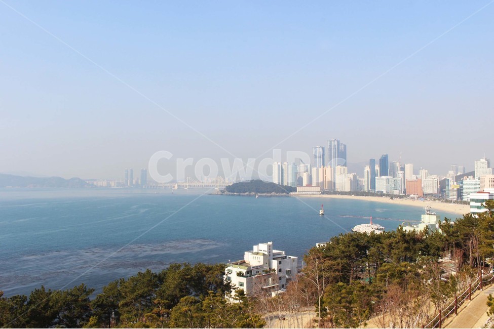 바다,바닷가,파도,해안가,수평선,자연,풍경,절경,해안도로,하늘,절벽,해안절벽,나무,윤슬,물거품,부산,겨울바다,파란색,바위,도시,풍경,city,landscape,한국도시풍경,한국도시경관,korea cityscape,nature,outdoors,옥외,scenery,경치