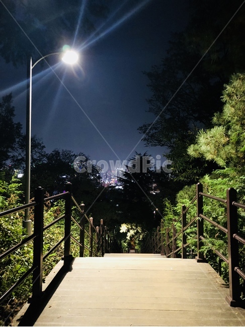 산책,계단,가로등,나무,다리,야경,공원,밤,자연,분위기,기분,야경,밤,풍경,nightscape,night,landscape,railing,난간