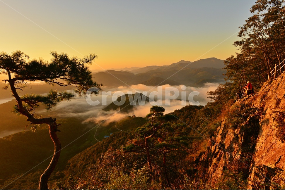 nature,자연,outdoors,임실,국사봉,운해,국사봉일출,아침,여명,해돋이,경치,경관,풍경,옥외,mountain,산,mountainrange,산맥,dawn,새벽,sky,하늘,redsky,붉은하늘,소나무,flare,플레어,light,빛,절벽,자연,풍경,nature,landscape,한국자연풍경,한국자연경관,korea nature landscape