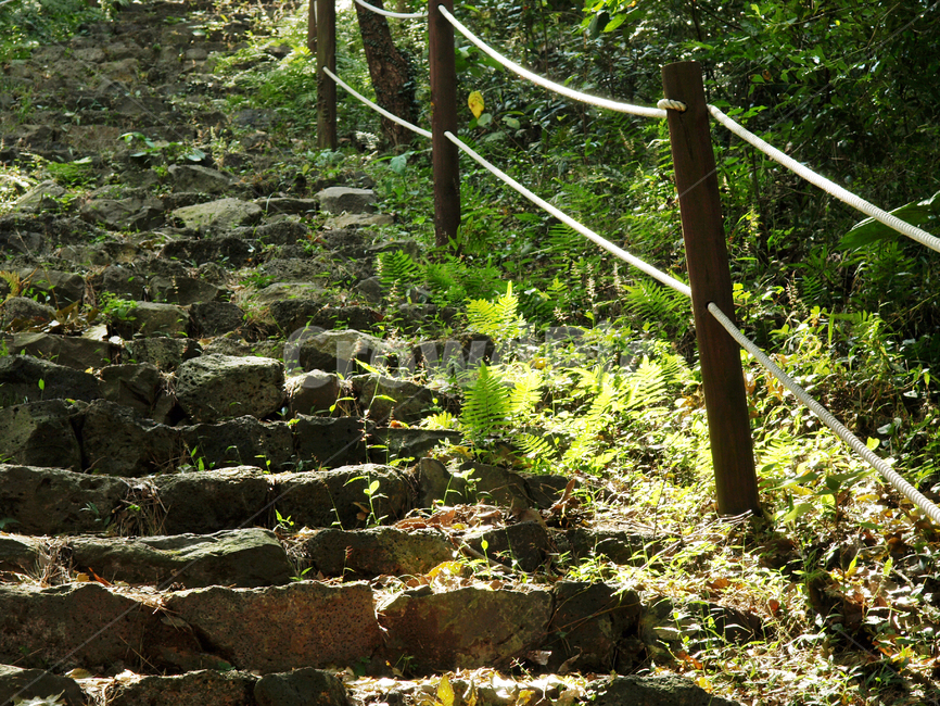 토산봉,망오름,오름,올레4코스,올레길,제주,서귀포시,목책,자연,풍경,nature,landscape