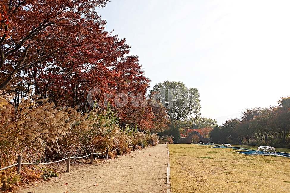 분수,물,공원,단풍,낙엽,식물,자연,풍견,풀,잡초,가을,계절,fall,autumn,season,자연,풍경,nature,landscape,plant,tree,나무,maple,dirt road,흙길,road,도로,gravel,자갈