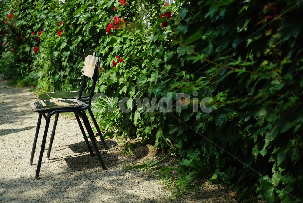 furniture,가구,chair,의자,자연,환경,외로운