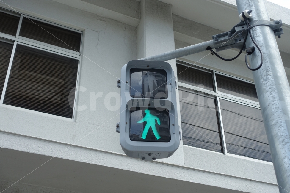일본,신호등,초록불,교통,사인물,교통,교통수단,traffic,transportation