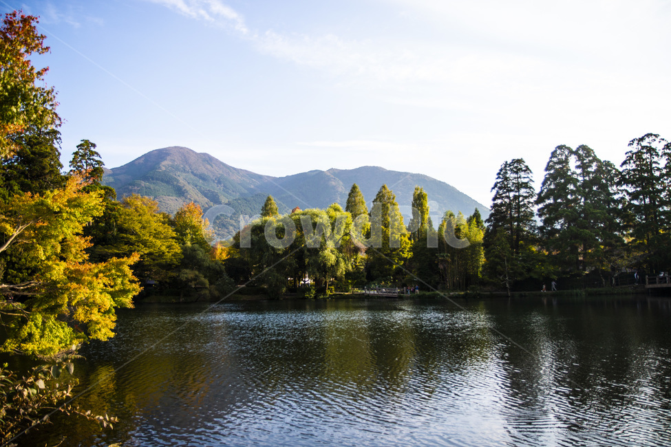 호수,일본,후쿠오카,숲,푸르름,자연,풍경,nature,landscape,water,물,outdoors,옥외,lake,tree,나무,plant,식물,fir,전나무