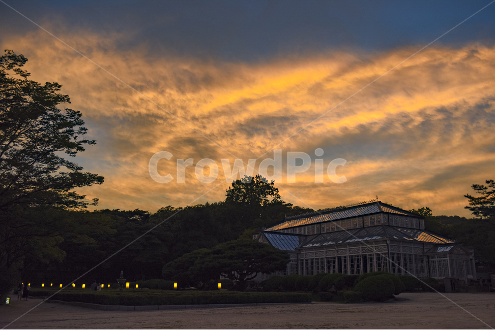 창경궁,식물원,야경,저녁노을,석양,랜드마크,landmark,tourist attraction,한국랜드마크,한국관광지,한국명소,korea landmark,korea tourist attraction,건축물,건물외관,exterior,building,structure,architecture,construction