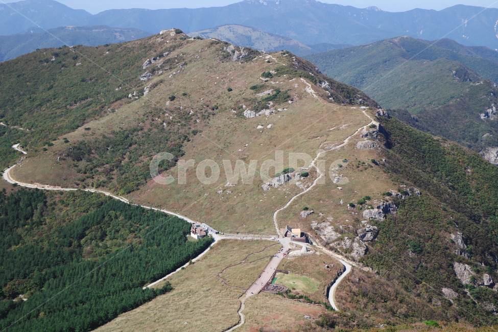 신불산,갈대,억새,갈대밭,억새밭,영남알프스,식물,자연,풍경,nature,landscape