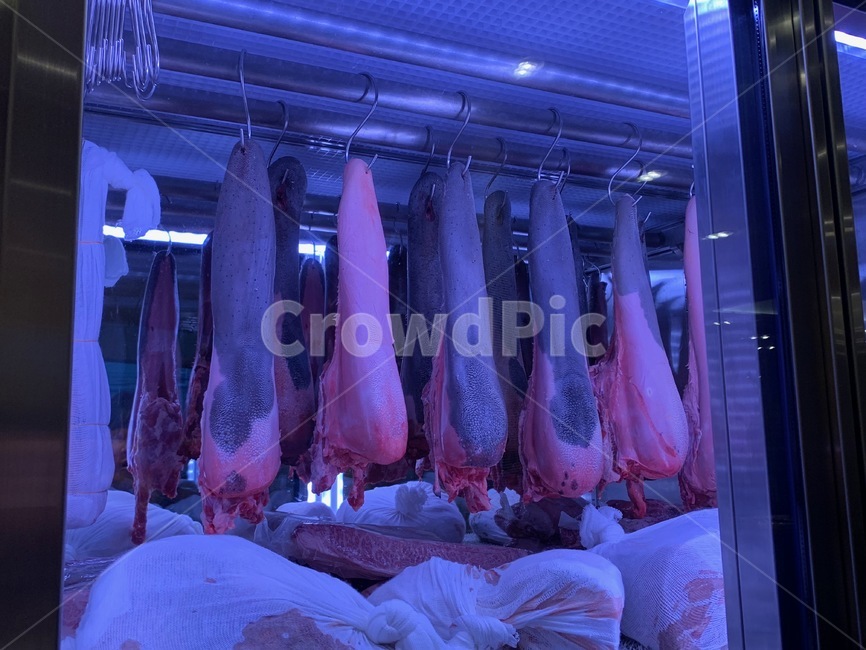 규탄,혀,tongue,소혀,cowtongue,정육점,푸른조명,고깃집,고기,푸줏간,야키니쿠,beef,yakiniku,meat,육류,고기,meat