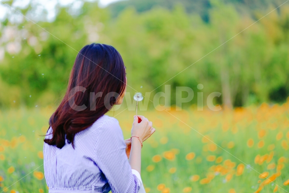 금계국,태화강대공원,민들레,홀씨,감성,감성사진,식물,자연,plants,nature,꽃,flower,사람,인물,인간,human,person,여성,여자,woman,female,lady,감성,sensible,feeling