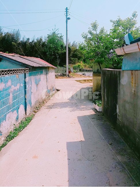 시골,길,자연,풍경,집,힐링,골목길,alley,nature,outdoors,옥외,building,건물,rural,농촌