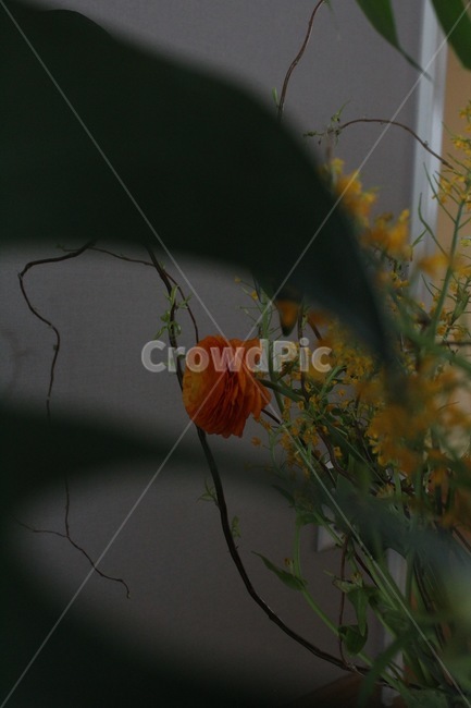 꽃,flower,blossom,장미,수국,나뭇가지,풀,식물,꽃다발,실내,꽃꽃이