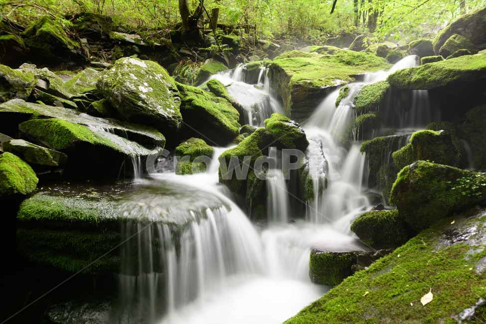 한국,자연,풍경,이끼,계곡,여름,계절,summer,season,자연,풍경,nature,landscape,water,물,outdoors,옥외,river,강,waterfall,폭포
