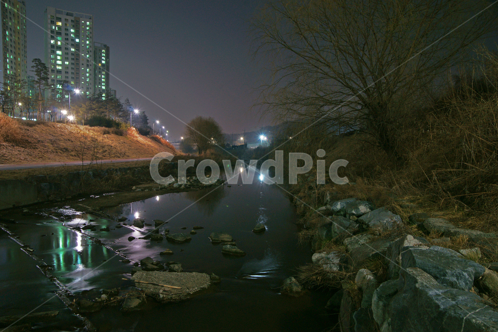 양재천,과천,개울,야경,아파트,산책로,야경,밤,풍경,nightscape,night,landscape,도시,city,한국도시풍경,한국도시경관,korea cityscape