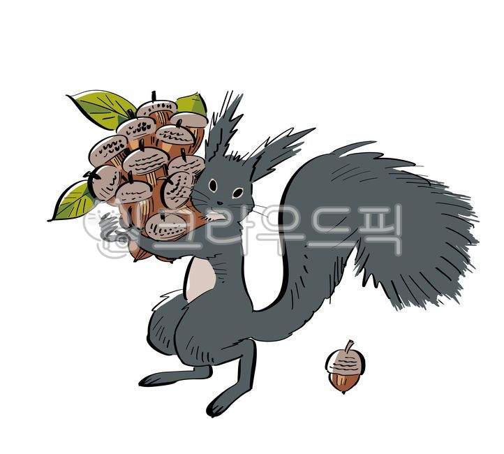 도토리,청설모,다람쥐,동물,가을,일러스트,일러스트레이션,illustration,산,나무열매