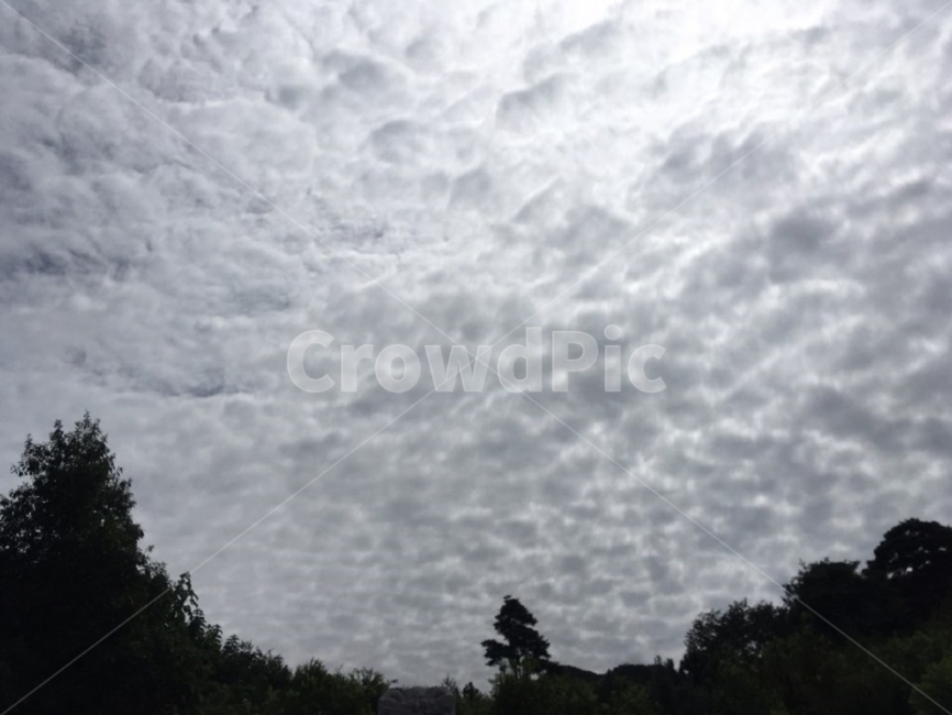하늘,구름,나무,자연,풍경,자연,풍경,nature,landscape,outdoors,옥외,weather,날씨