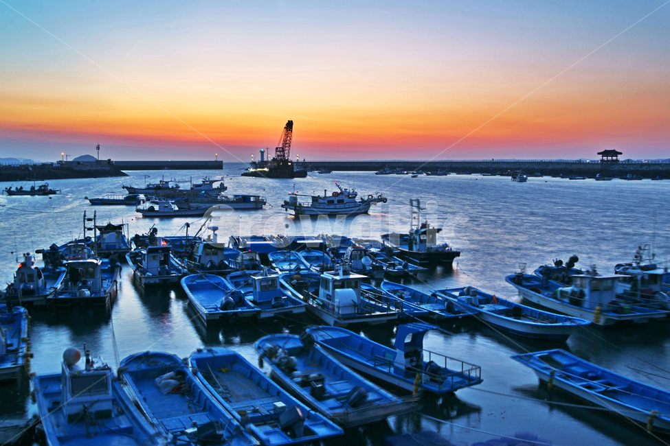 궁평항,정박,어선,고깃배,일몰,석양,저녁놀,바다,부두,항구,산업,industry,industrial,어업,fishery,fishing industry
