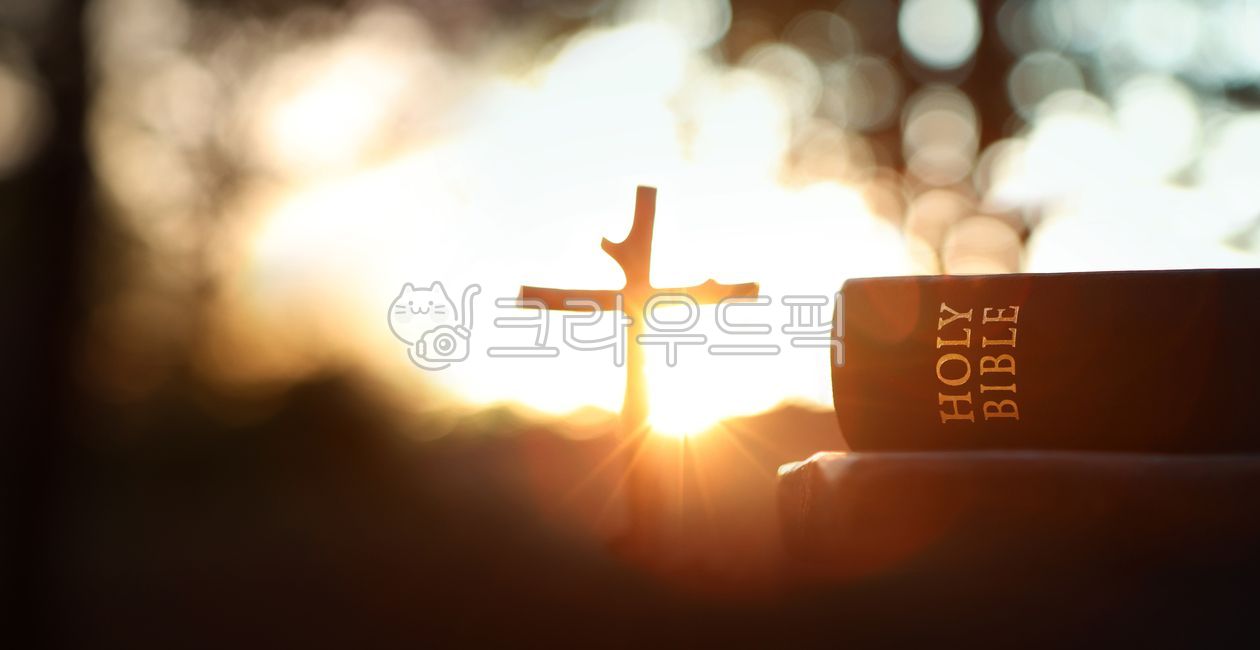 trust,beam,Easter,symbol,forest,death,father,church,Bible,bright,faith,sunset light,sun,pray,hardship,beautiful,Worship,Jesus,The Cross,Holy Ghost,sky,bible,Catholic,holy,tree,Cathedral,Dusk,Jesus Christ,dinner,resurrection,religion,contemplation,sunlight