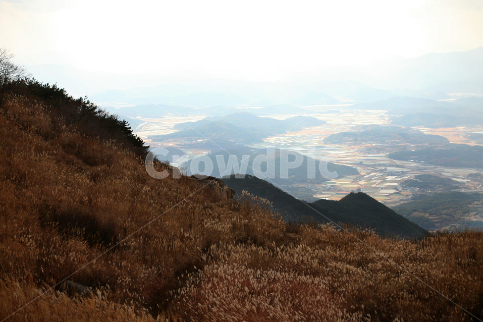 풍경,산,갈대,하늘,겨울산